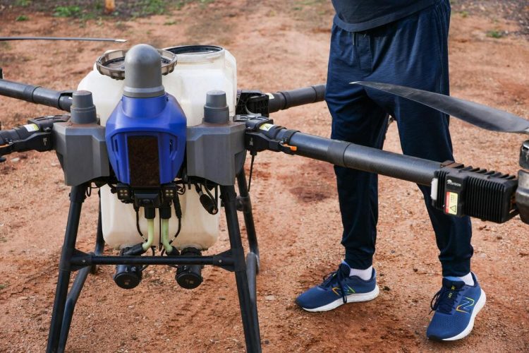 démoussage toiture drone